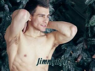 Jimmytiger