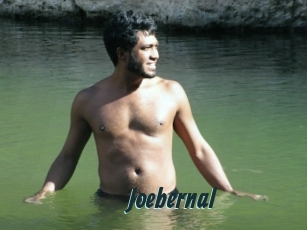 Joebernal