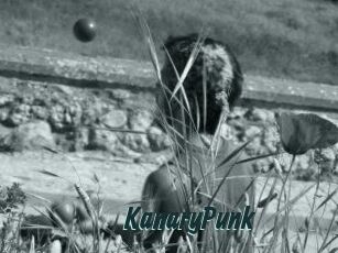 KanaryPunk