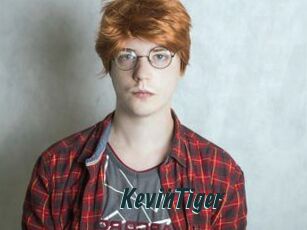 KevinTiger