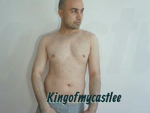 Kingofmycastlee