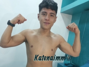 Katenaimm