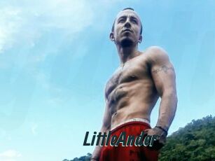 LittleAnder
