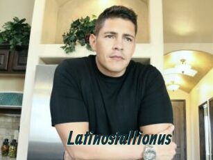 Latinostallionus