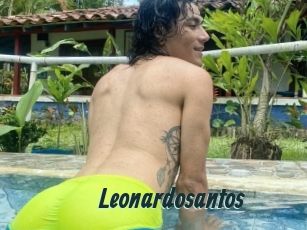 Leonardosantos