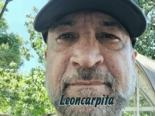 Leoncarpita