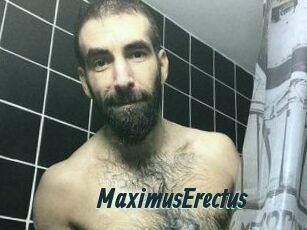 MaximusErectus