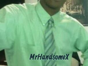 MrHandsomeX