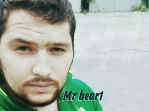 Mr_bear1