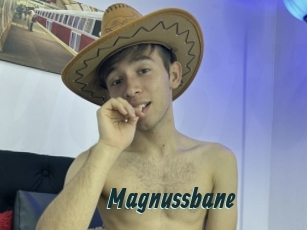 Magnussbane
