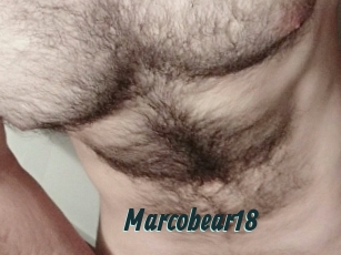 Marcobear18