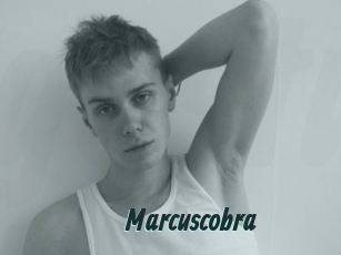 marcuscobra Gays Tube