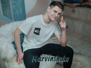 Marvinshake