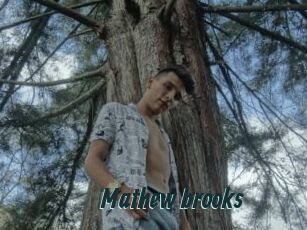 Mathew_brooks