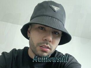 Matthewstill