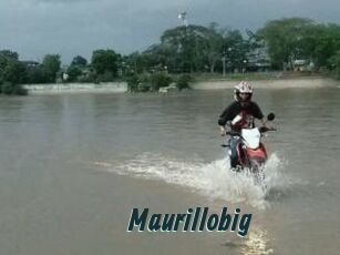 Maurillobig