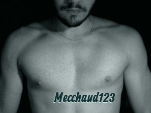 Mecchaud123