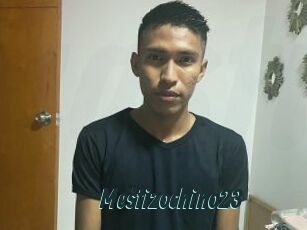 Mestizochino23