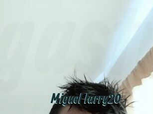 Miguel_larry20