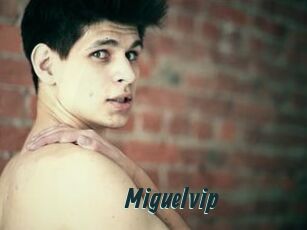 Miguelvip