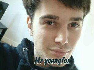 Mr_youngfox