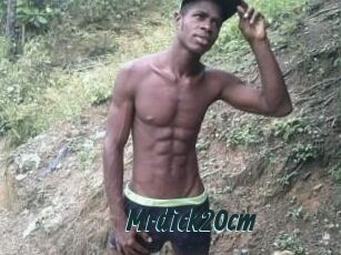 Mrdick20cm