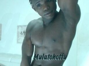 Mulatohotfu