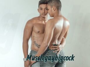 Musclegaybigcock