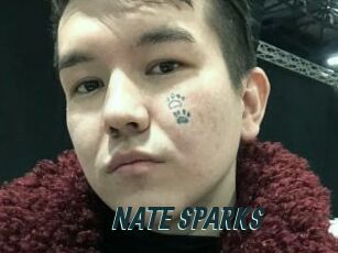 NATE_SPARKS