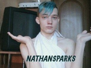 NATHAN_SPARKS