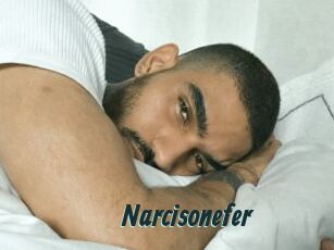 Narcisonefer