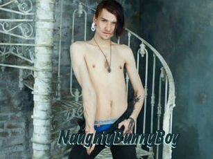 NaughtyBunnyBoy