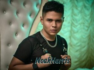 NoahHarris