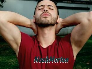 NoahMorton