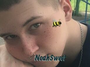 NoahSweet