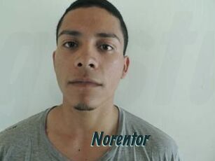 Noren_tor