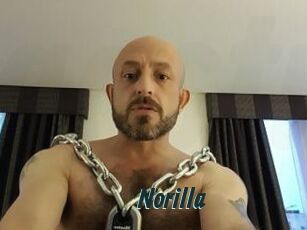 Norilla