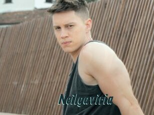 Neilgaviria