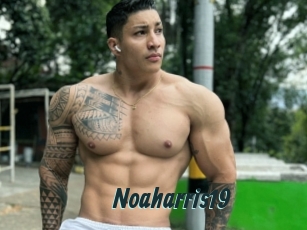 Noaharris19