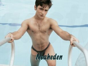 Noaheden