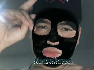 Noahsihnooo