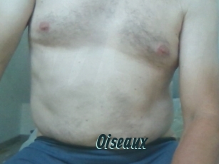 Oiseaux