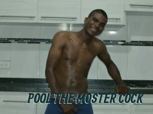 POOL_THE_MOSTER_COCK