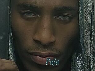 Paju