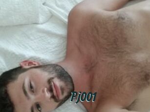 Pj001