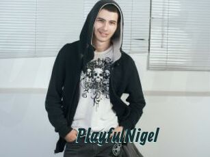 PlayfulNigel