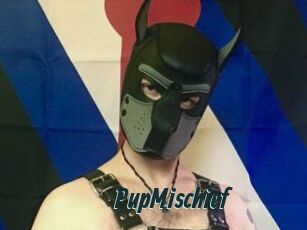 PupMischief