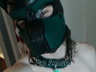 Pup_Samson
