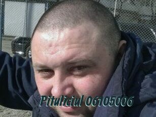 Pituliciul-06105006