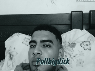 Pollbigdick
